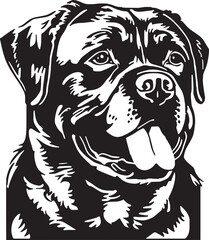 Rottweiler dog head Vector illustration, SVG
