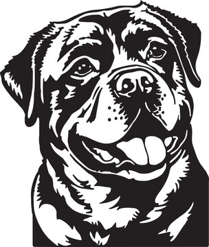Rottweiler dog head Vector illustration, SVG
