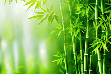 Fototapeta na wymiar Green bamboo background fresh leaves on tree as nature ecology and environment concept. Generative Ai