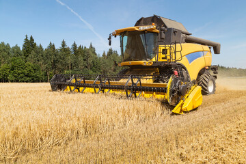 Fototapeta premium Harvesting with combines