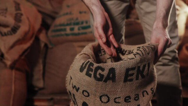 The hand takes the raw coffee beans. Close-up