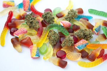 Dried medical marijuana buds lie among gummies of various shapes and flavors.  On a cold white...