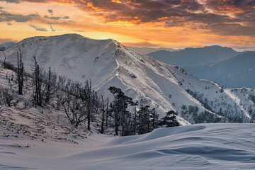 Fototapeta na wymiar 四国徳島県にある日本百名山の一つ「剣山」冬景色