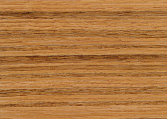 Background with wood texture. Wooden surface close up.