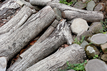 the heap of disorder old wood with dry leaves and grass