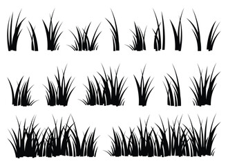 Cartoon silhouette grass leaves collection vector illustration isolated on white