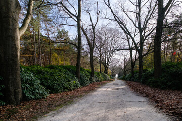Nature reserve Sallandse Heuvelrug
