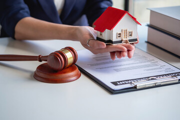 Law, Counsel, Agreement, Contract, Lawyer, Advising on litigation matters and signing contracts as...