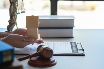 Law, Counsel, Agreement, Contract, Lawyer, Advising on litigation matters and signing contracts as...