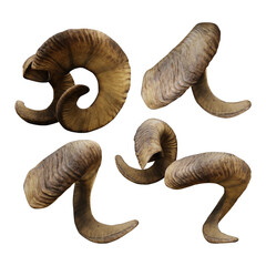 3d rendering of curved sheep goat horns like devil horns perspective view