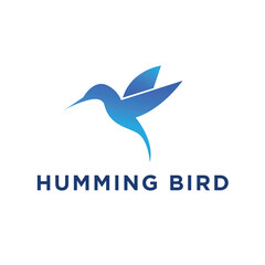 humming bird logo creative design template