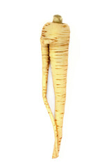 Deformed and forked parsnip organic vegetable on white background. Twisted specimen, healthy heart...