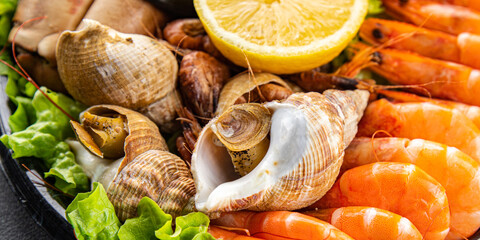 seafood plate shrimp, crab claw, clam, rapan, trumpeter mollusk  meal food snack on the table copy space food background rustic top view