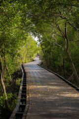 A walk way at Laem Phak Bia, Ban Laem District, Phetchaburi Province, Thailand