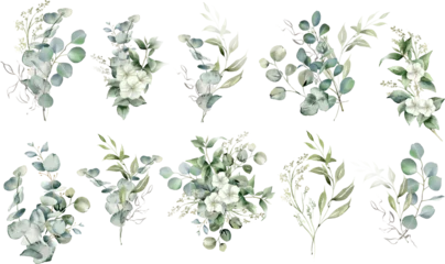 Schilderijen op glas Geschilderde Bloemen Watercolor eucalyptus bouquet set. Greenery branches and jasmine flowers clipart. Green foliage arrangement for wedding, stationery, invitations, cards. Illustration isolated on transparent background  © Nataliya Kunitsyna