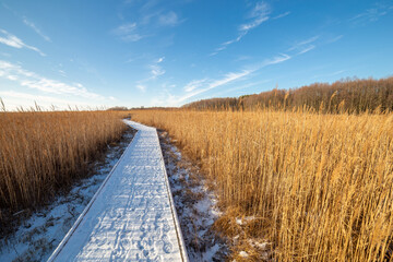 A wooden path in the Poleski National Park
