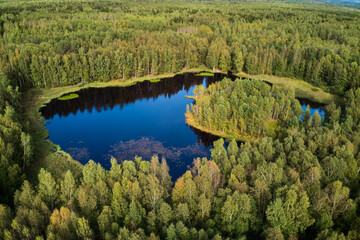 Aerial view of a picturesque landscape with a peat lake and a small island surrounded by green...