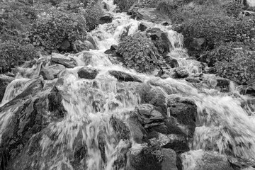 Fototapeta na wymiar Trekking in the Mercantour National Park, waterfall and mountain stream, black and white photo, Maritime Alps, Western Alps, France, Europe