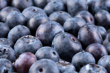 Blueberries on white background