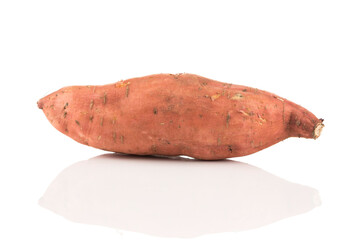 Sweet potato on the white background