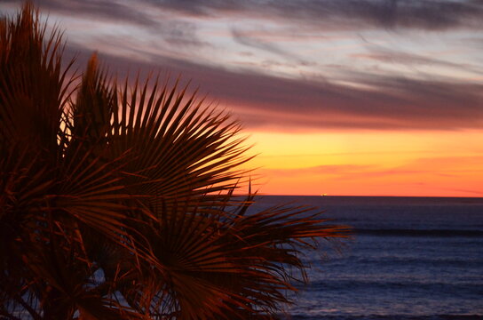Sunset over the sea, silhouette of a palm tree, sunset sky© ClaudiaRMImages