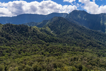 Forest area of mount Rinjani Lombok island
