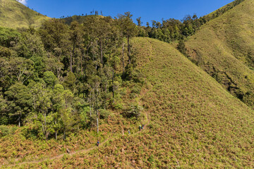 Fototapeta na wymiar Forest area of mount Rinjani Lombok island