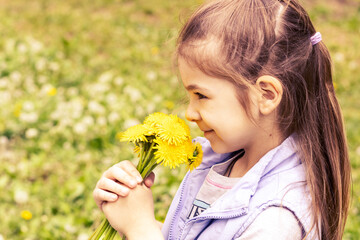 Cute little girl with yellow dandelions on a sunny day on a green nature background.