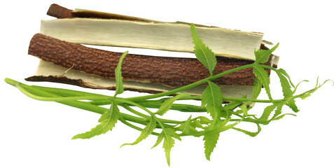 Medicinal neem leaves with bark of tree