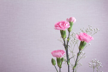 Pale pink space with pink carnations and baby's breath, copy space to the left