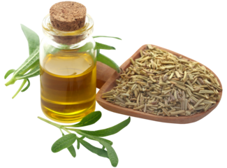 Dried rosemary with essential oil