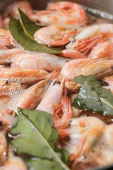 fresh shrimps with lemon and lime