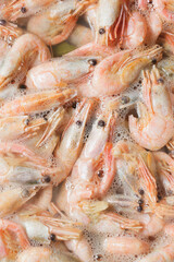fresh shrimps are cooked in brine