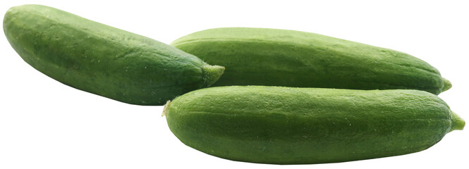 Snack cucumber