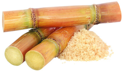 Piece of sugarcane with sugar - 580309821