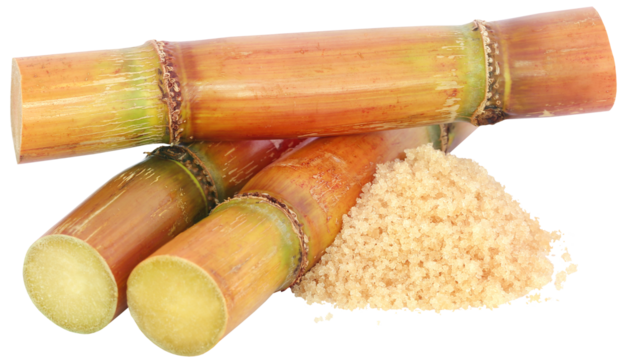 Piece of sugarcane with sugar