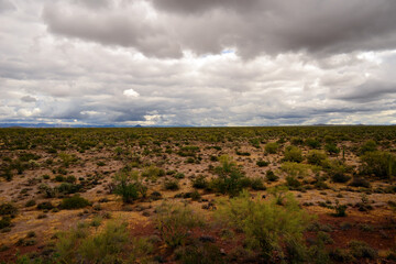 Storm Clouds Sonora Desert Arizona