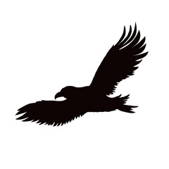  raven, crown silhouette - isolated - vector illustration