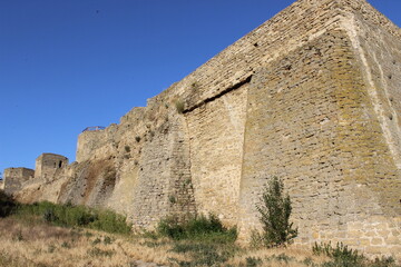 ruins of the castle