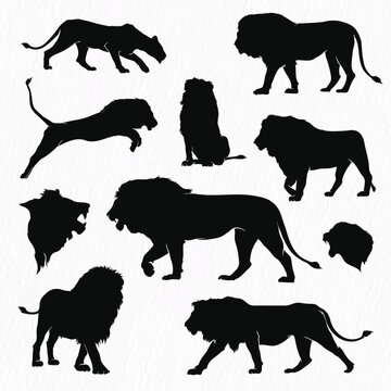 Vector collection of lion silhouettes set. vector illustration lion shape shadow isolated on white background 
