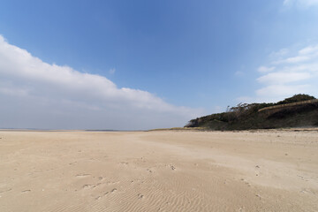 Fototapeta na wymiar Sand dunes of Créances village in Cotentin coast