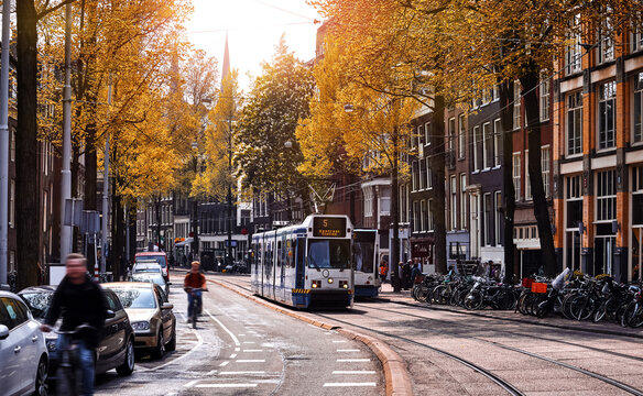 Amsterdam, Netherlands. Street view, Modern tram, public transport moving by Autumn evening sunny day. Bicycle on the road