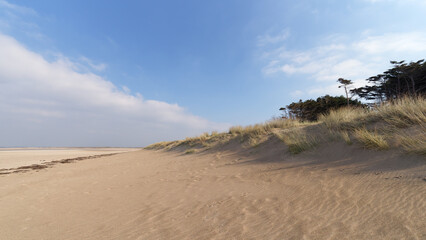 Fototapeta na wymiar Sand dunes of Créances village in Cotentin coast