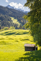 View over hilly, almost undulating lush green meadows. In the foreground is an wooden barn that is still in use. In the background, the peaks of the Alps rise from the mixed forests into the sky.