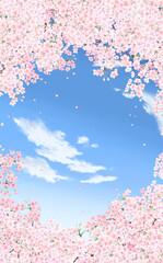 満開の桜と花びら・小  縦型イラスト素材 -青空背景- 色違い・差分あり