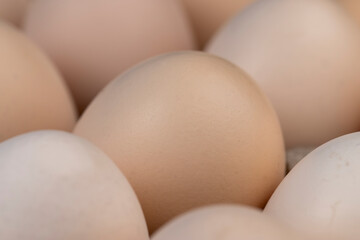 Tray with a large number of white chicken eggs