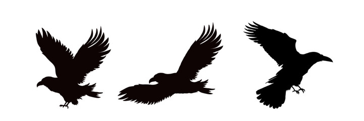 Set of silhouettes of ravens, crows, isolated. vector illustration