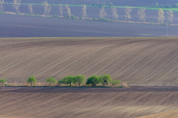 plowed fields and green trees