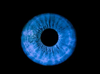 Schilderijen op glas Human blue iris eye. Colorful Pupil in macro on black background © AdobeTim82