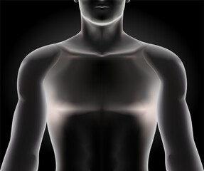 X-ray body illustration